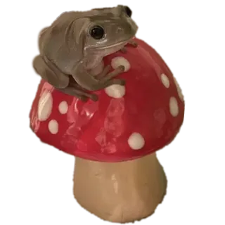 🐸 개구리, 버섯, 독버섯, 양서류, 빨간색, 흰 점, 자연 telegram sticker