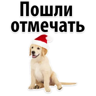 🥂 Пошли отмечать dog, puppy, christmas, santa hat, celebration, russian telegram sticker