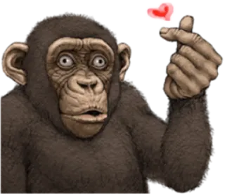 🐵 monyet, hati, binatang, imut, cinta telegram sticker