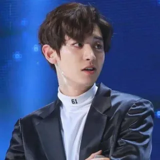 😏 61 kpop, ídolo, cantante, hombre, retrato, chanyeol telegram sticker