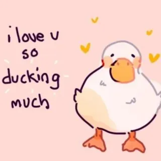 🧺 i love u so ducking much kaczka, miłość, słodkie, zwierzę, serca telegram sticker