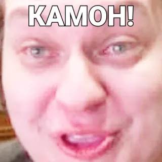 🤓 KAMOH! telegram sticker
