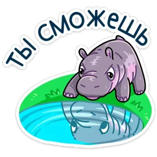 😏 Ты сможешь 하마, 동물, 만화, 반사, 동기 부여, 귀여운, 물 telegram sticker