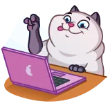 👨💻 mèo, máy tính xách tay, nhãn dán, hoạt hình, động vật whatsapp sticker