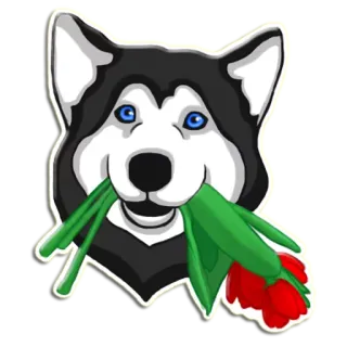 🌷 cachorro, husky, flor, animal, fofo, animal de estimação, desenho animado, adesivo telegram sticker