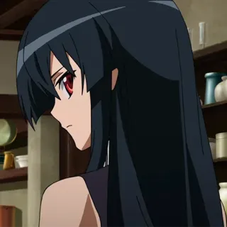 😠 Akame Akame ga Kill! Аниме, Манга, Акаме, Девушка, черные волосы telegram sticker