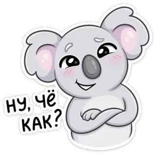 😏 ну, чё как? Koala, süß, Gruß, russisch whatsapp sticker
