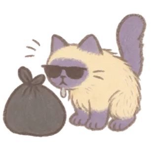 🐈‍⬛ chat, lunettes de soleil, cool, animal, sac, animal de compagnie whatsapp sticker