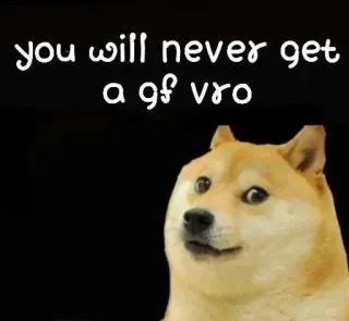 😂 Doge Doge meme you will never get a gf vro telegram sticker