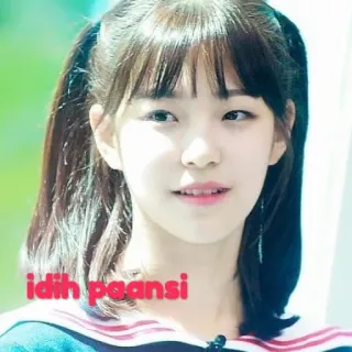 🗾 idih paansi telegram sticker