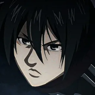 ❕ Mikasa Ackerman Attack on Titan 动漫, 进击的巨人, 三笠·阿克曼, 卡通, 漫画, 角色 telegram sticker