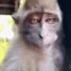 😬