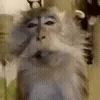 💋