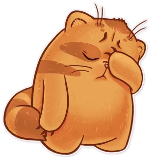 😞 cat, sad, cute, animal, orange whatsapp sticker