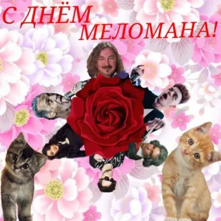 👨‍🎤 С ДНЁМ МЕЛОМАНА! flowers, cats, russian, congratulations telegram sticker