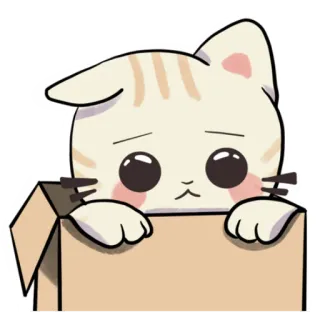 🥺 cat, kitten, box, sad, cute, animal telegram sticker