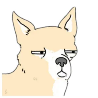 😑 cachorro, animal, fofo, engraçado, meme telegram sticker