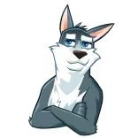 🙄 lobo, animal, dibujos animados, husky whatsapp sticker