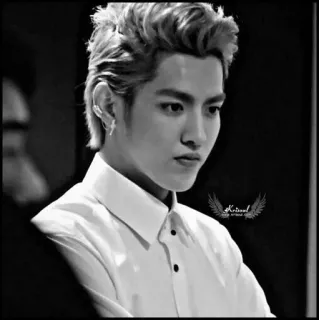 ♠️ Kris Wu Kris Wu, Cantante, Celebrità, Attore, Idolo telegram sticker