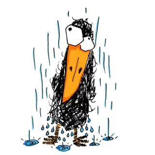 ️ bird, rain, sad, doodle, sketch, weather, gloomy, wet, cartoon telegram sticker