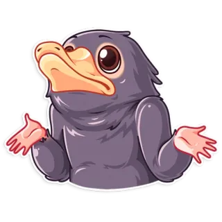 🤷‍♂️ 動物, 漫画, 鳥, ミーム, 肩をすくめる, 質問, かわいい telegram sticker