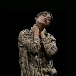 🦋 person, man, portrait, shirt, plaid, fashion, korean telegram sticker