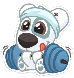 💪 oso, halterofilia, dibujos animados, ejercicio, lindo, animal, entrenamiento whatsapp sticker