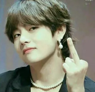 🖕 Stinkefinger, Beleidigung, beleidigend, unhöflich, Person, Handgeste telegram sticker