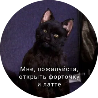 Кот Салем telegram stickers