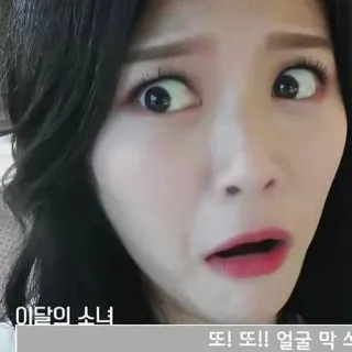 😱 이달의 소녀
또! 또!! 얼굴 막 써 girl group, kpop, loona, engraçado, meme, reação telegram sticker