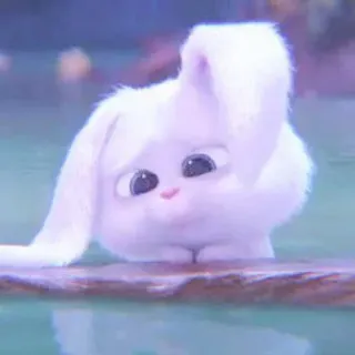 🐰 Snowball The Secret Life of Pets rabbit, bunny, cute, animal, pet, white, fluffy whatsapp sticker