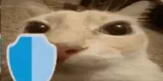 🛡 Katze, Haustier, Tier, süß, Schild, Meme telegram sticker
