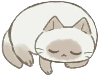 💤 kot, śpiący, słodki, zwierzę, syjamski whatsapp sticker