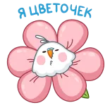 🌺