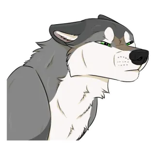 🤨 lobo, animal, pegatina, dibujos animados, mamífero, peludo whatsapp sticker