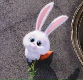 🐾 Snowball The Secret Life of Pets coniglio, coniglietto, animale, carino, cartone animato, animale domestico whatsapp sticker