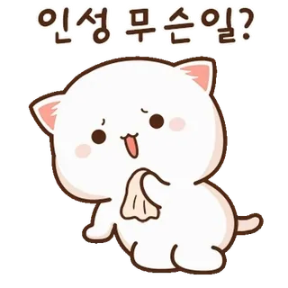 💬 인성무슨일? 猫, 可爱, 问题, 困惑, 卡通, 小猫 telegram sticker