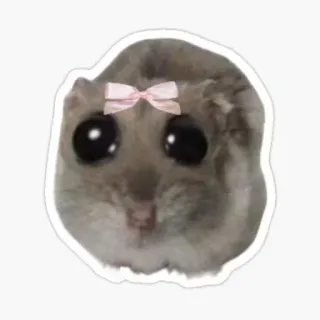 😍 hamster, cute, animal, rodent, pet, sticker, pink bow telegram sticker