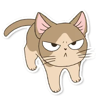 😠 แมว, สติกเกอร์, สัตว์, น่ารัก, การ์ตูน, สัตว์เลี้ยง telegram sticker