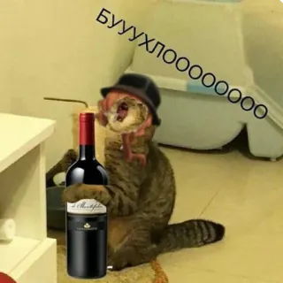 🍷 БУУХЛООООООО chat, vin, alcool, chapeau, drôle telegram sticker