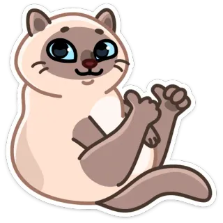 👍 кот, палец вверх, милый, животное, стикер telegram sticker
