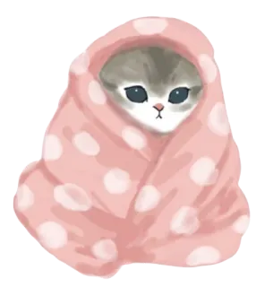 🥨 猫, 子猫, 可愛い, 毛布, 動物 telegram sticker