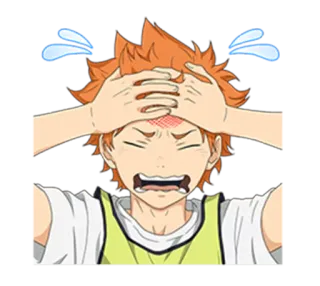 😖 Hinata Shoyo Haikyuu!! アニメ, ハイキュー!!, 日向翔陽, イライラ, ストレス, 混乱, 心配 telegram sticker