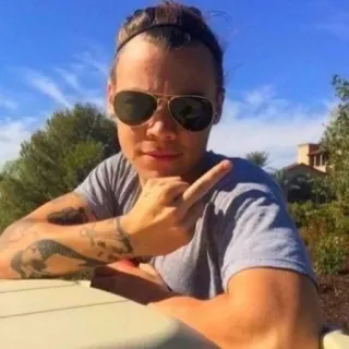 🖕 Harry Styles singer, celebrity, middle finger, offensive, aviator sunglasses telegram sticker