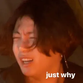 😭 just why สีหน้า, มีม, ปฏิกิริยา, คำถาม telegram sticker