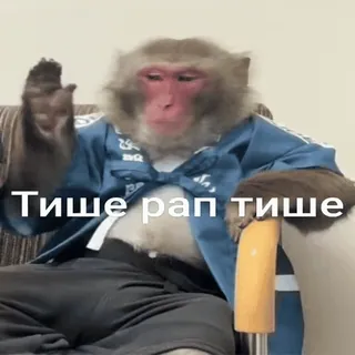 🥱 Тише рап тише monkey, animal, sitting, rap, clothing telegram sticker