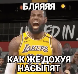@crypto_bibizyana АЛЬФА🟡 telegram stickers