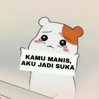 💋 KAMU MANIS, AKU JADI SUKA schattig, hamster, huilen, bord, liefde telegram sticker