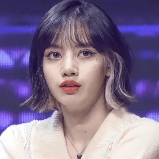 Lisa ♡ @BlackpinkStickers telegram stickers