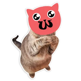 👏 Katze, Sticker, Meme, lustig, süß, Tier telegram sticker